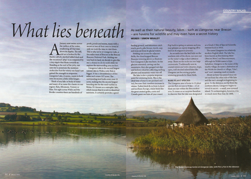 What Lies Beneath was published in Country & Border Life magazine